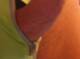 Private Photo of bananaindue