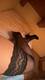 leccami tutta..anche le scarpe