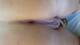 Culetto abronzato