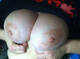 tette mmmm