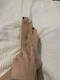 piedi2