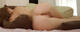 nuda sul divano