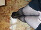 Calze a rete
