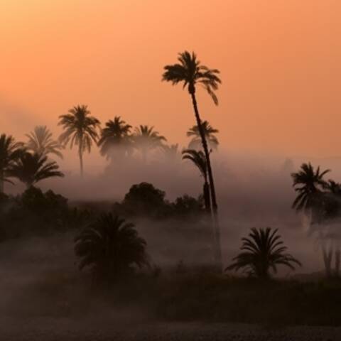 tramonto a luxor..... chi mi ci porta?